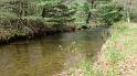 White Deer Scenic